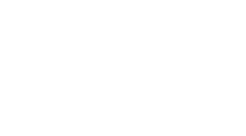 GFirst logo, white