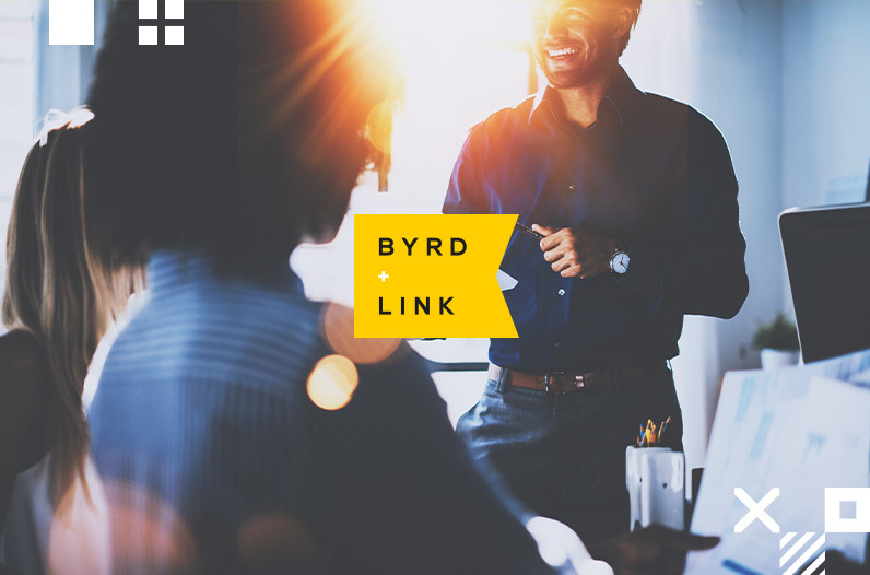 <h3>Byrd + Link</h3>